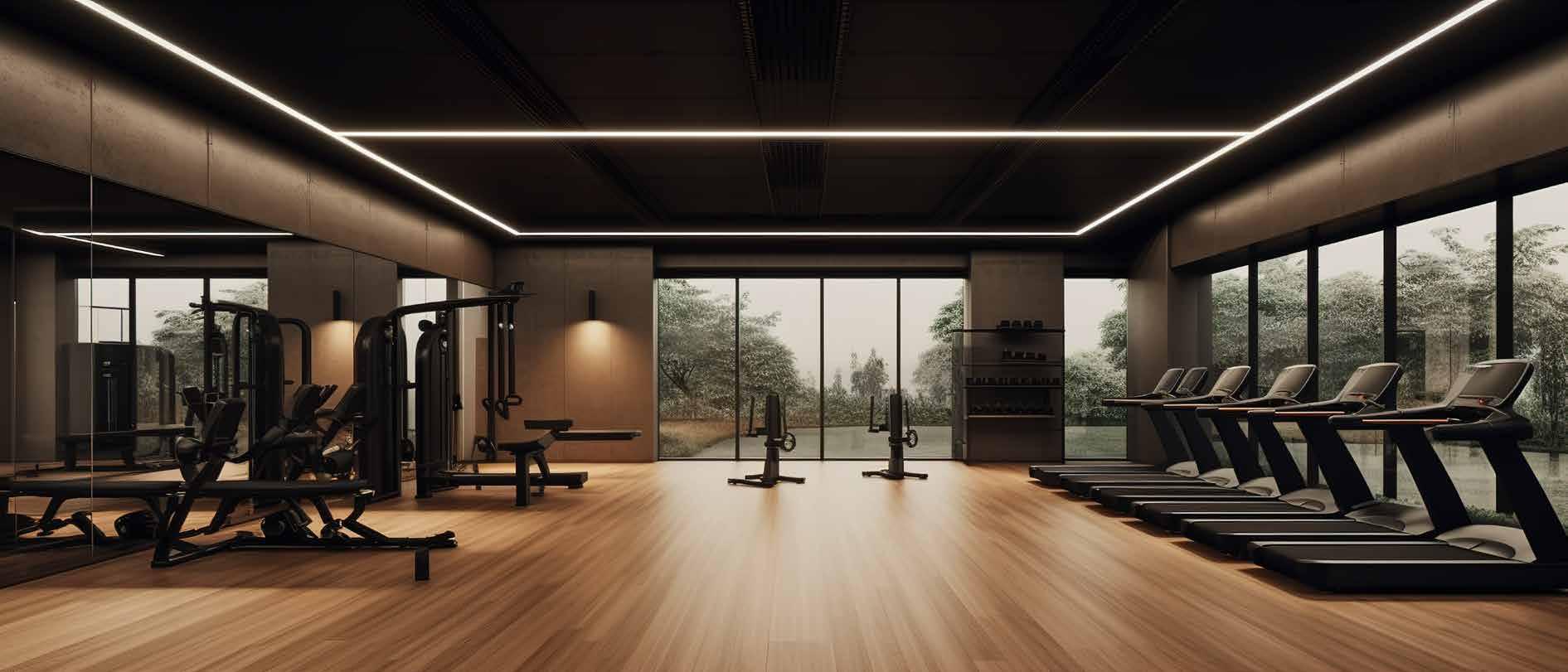 Gymnasium
